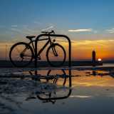 Dal 2018 la comitiva ha cominciato a riunirsi ogni settimana per fotografare il sole e la sua luce. Una luce che �trasforma� qualsiasi oggetto, come quella bicicletta che Dina, una delle fautrici dell'iniziativa, ci mostra mentre riflette il suo profilo in una pozzanghera 